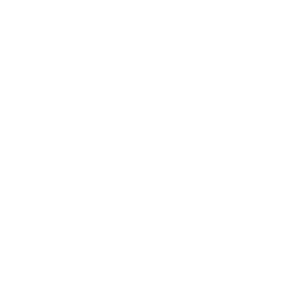 Insta icon